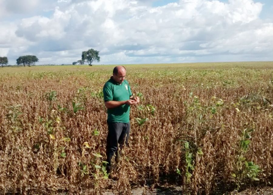 Senar abre inscrições para o Projeto ABC do Cerrado