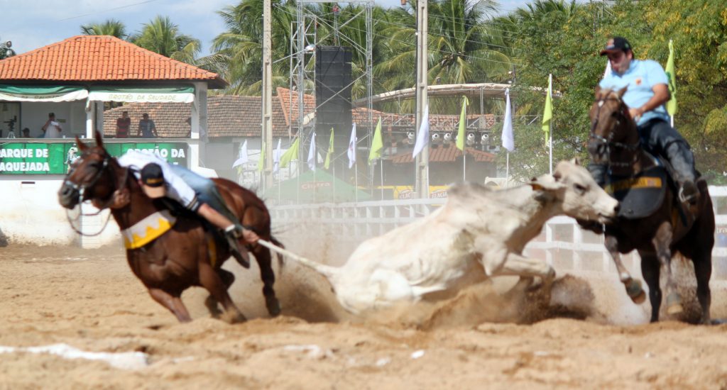 Senado vota nesta terça-feira PEC que autoriza realização de vaquejadas