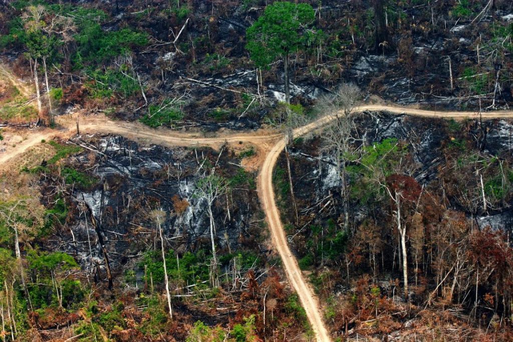 Presidente veta MPs que poderiam reduzir áreas de preservação ambiental