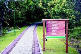 Parque Botânico da Vale desenvolve programação na Semana da Criança