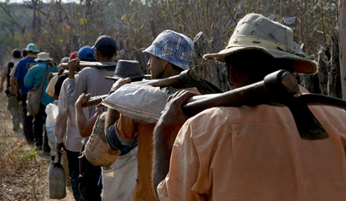OIT e MPT lançam, com apoio do Governo do Maranhão, filme sobre trabalho escravo