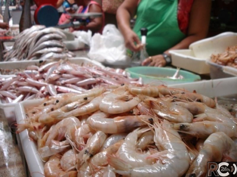 Ministério Público quer garantir seguro defeso a pescadores de camarão
