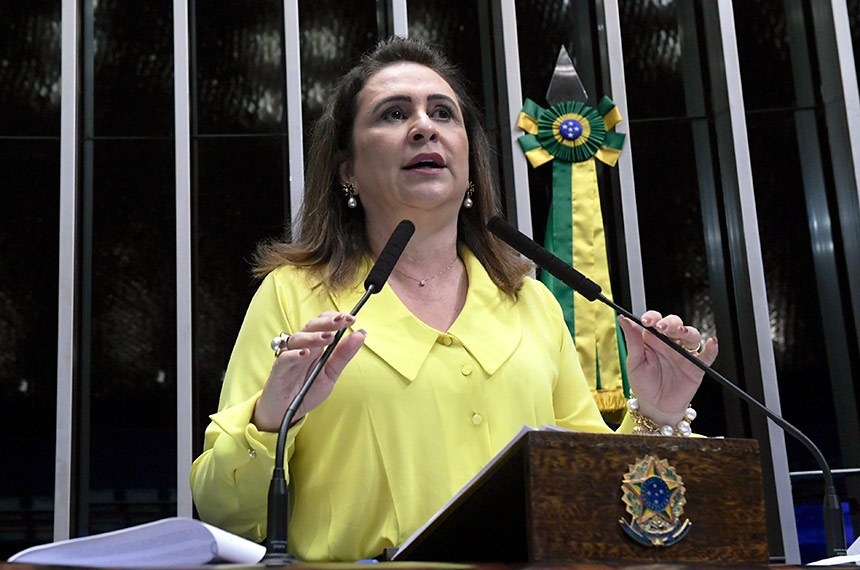 Kátia Abreu defende manutenção de subvenções para o setor agrícola