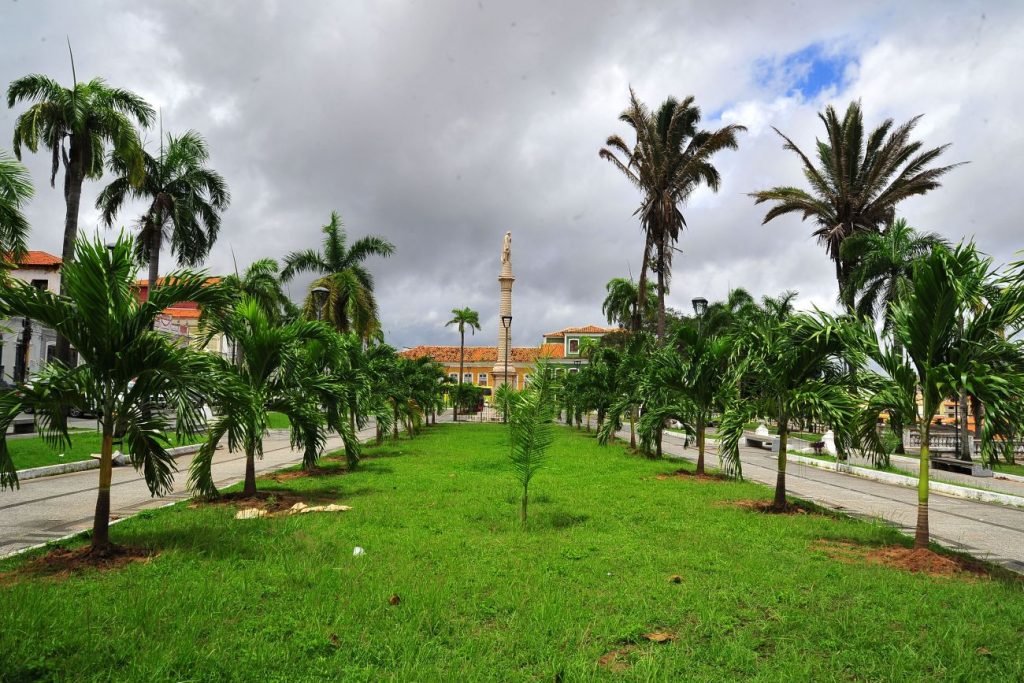 Praça Gonçalves Dias ganha novo visual com plantio neste sábado de palmeiras imperiais