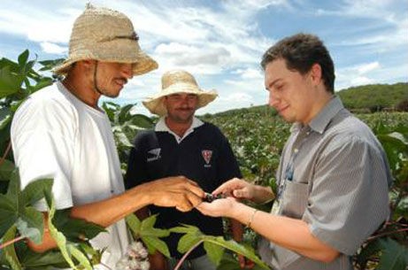 Governo cria programa para incentivar cooperativas agrícolas