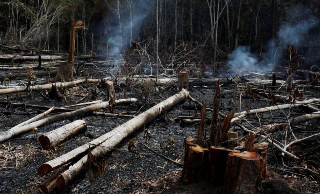 Flávio Dino é quem determina orçamento de emergência para combate a incêndios