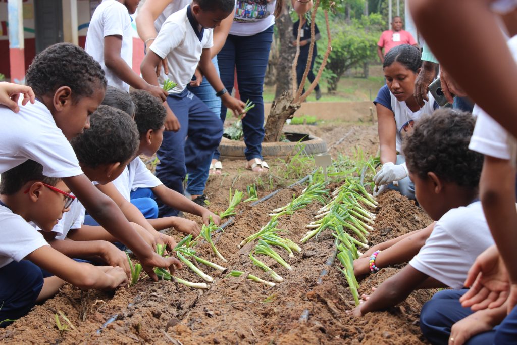 Embrapa implanta em São Luís projeto Hortas Pedagógicas