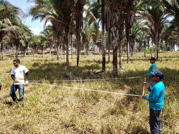 Embrapa implanta no Território Cidadania de Bacabal ações do programa Bem Diverso