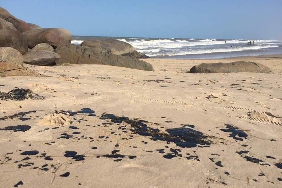 Novas manchas de óleo encontradas no Delta, entre Maranhão e Piauí