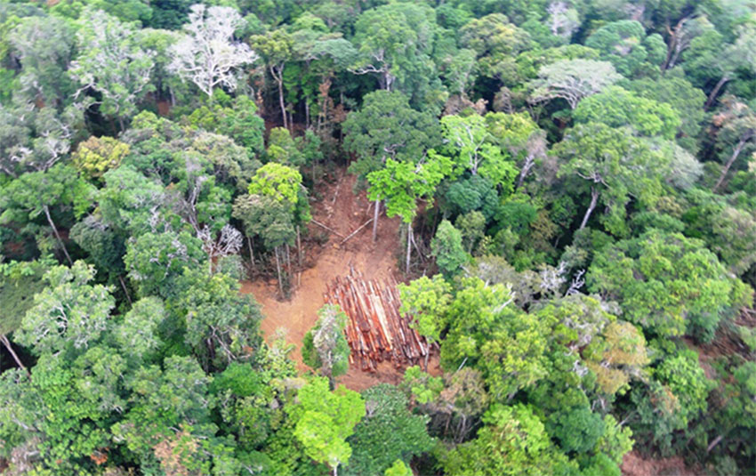 Assembleia Legislativa aprova projeto de Zoneamento Econômico e Ecológico do Maranhão