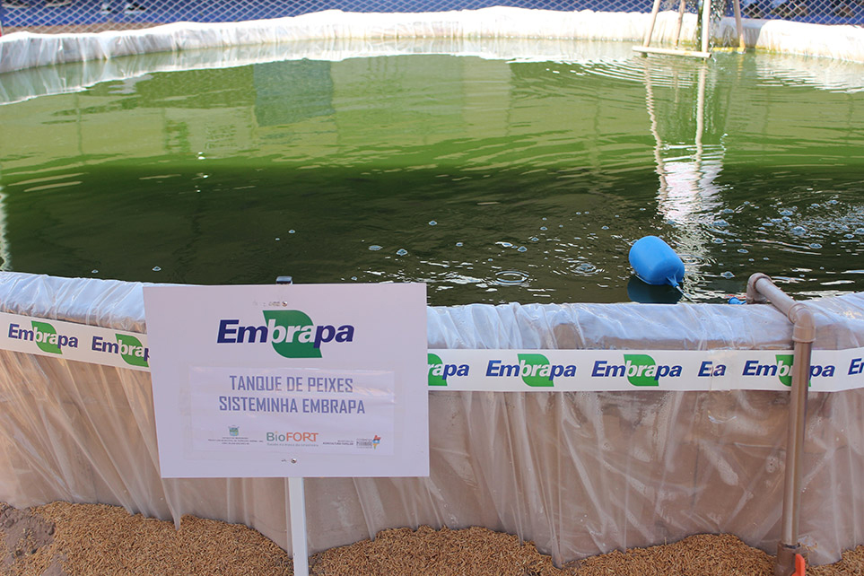 Embrapa apresenta novas descobertas na 1ª Feira Maranhense da Agricultura Familiar