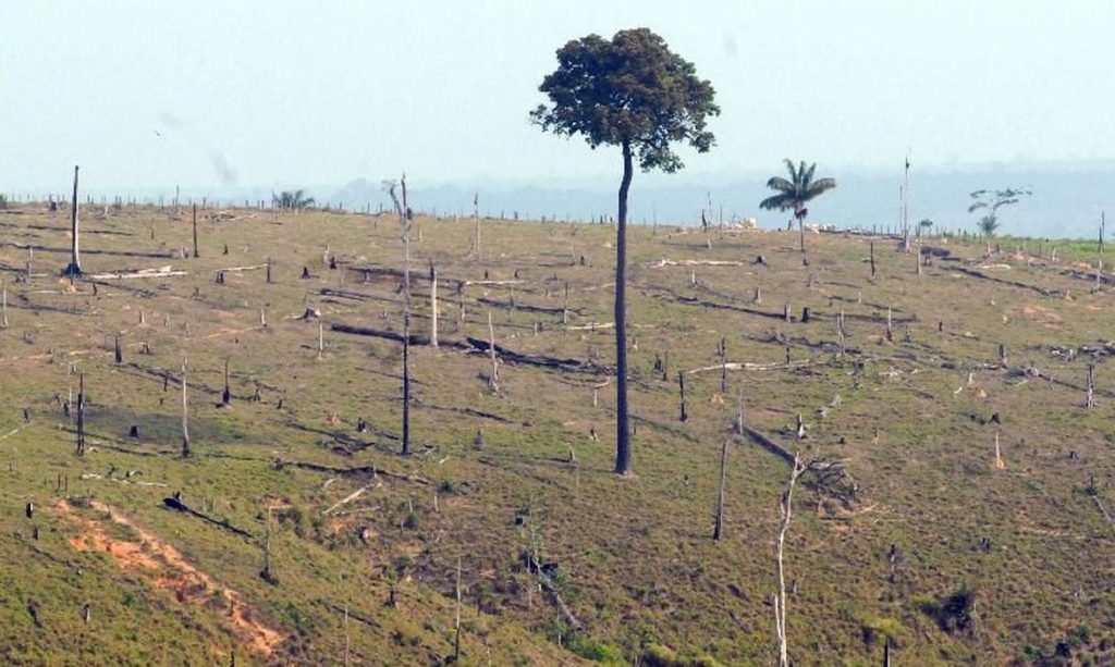 Presença das Forças Armadas na Amazônia Legal prorrogada até novembro