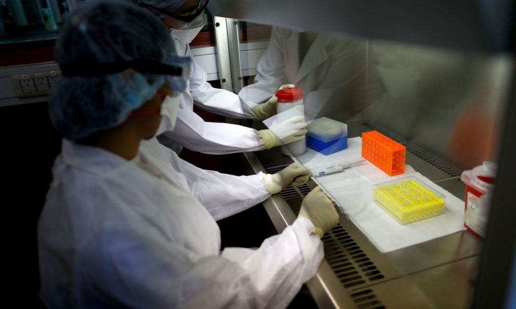 Brasil contabiliza neste domingo 42,9 mil novos casos de covid-19