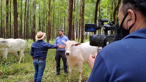 Embrapa Cerrados é tema da nova série de reportagens do programa Giro do Boi no Canal Rural