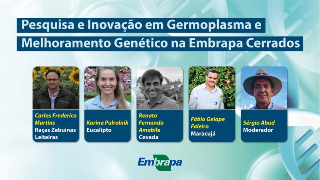 Embrapa Cerrados inicia nesta quinta seminário sobre germoplasma e melhoramento genético