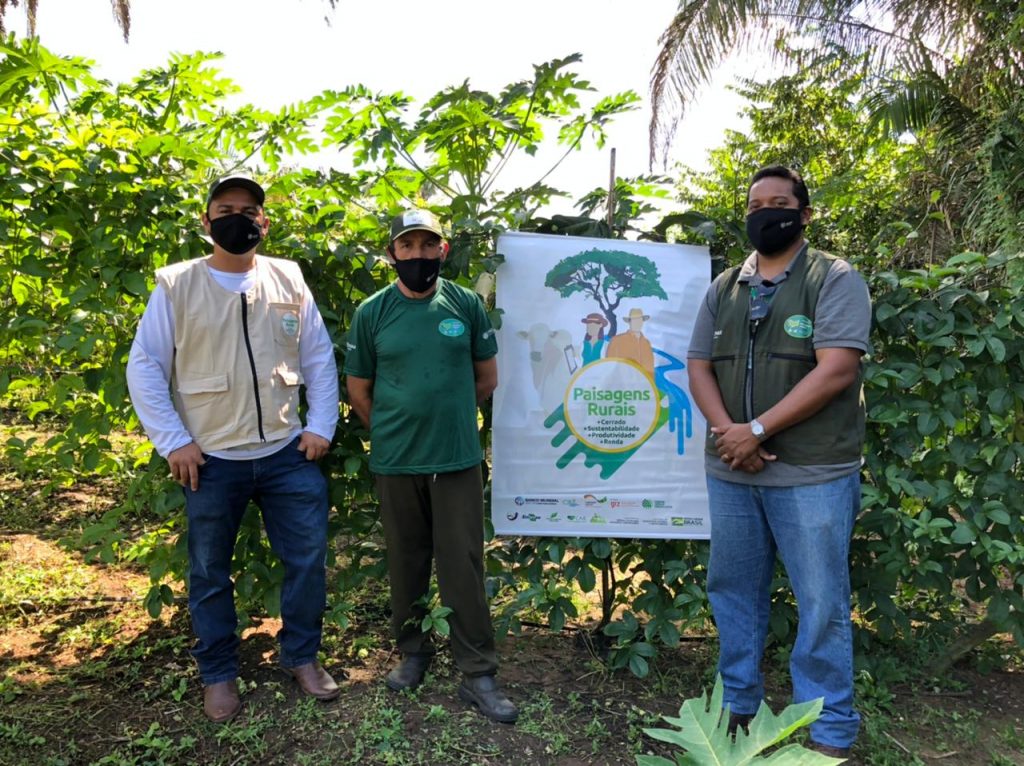 Produtores rurais de Presidente Dutra recebem do Senar mudas de açaí