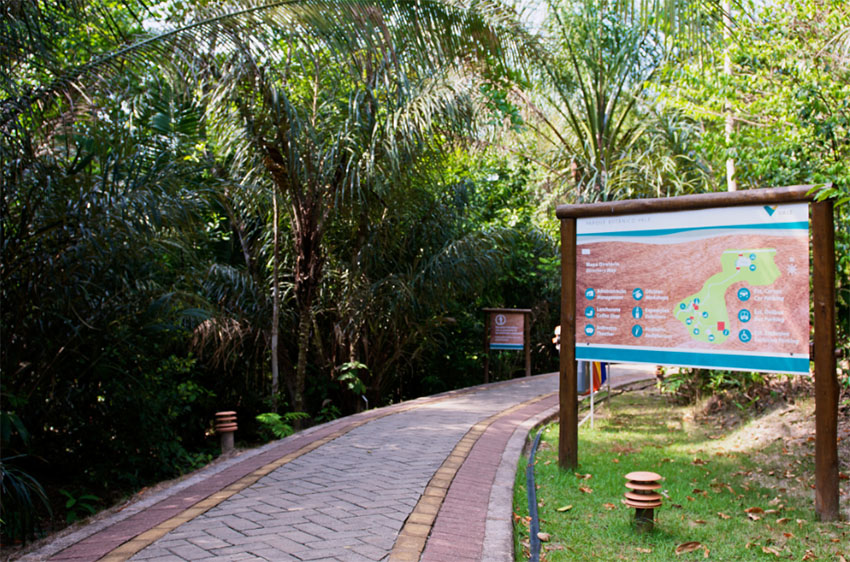 Oficinas natalinas marcam programação do mês no Parque Botânico da Vale em São Luís