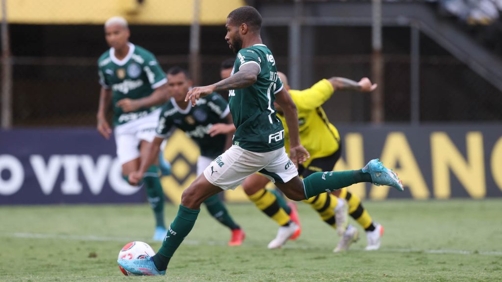 Palmeiras sai atrás, mas empata com São Bernardo e Santos perde para Botafogo