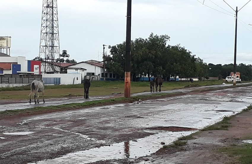 Aposta de Pedro do Rosário acerta sozinha as 15 quinzenas da Lotofácil no sorteio desta terça-feira