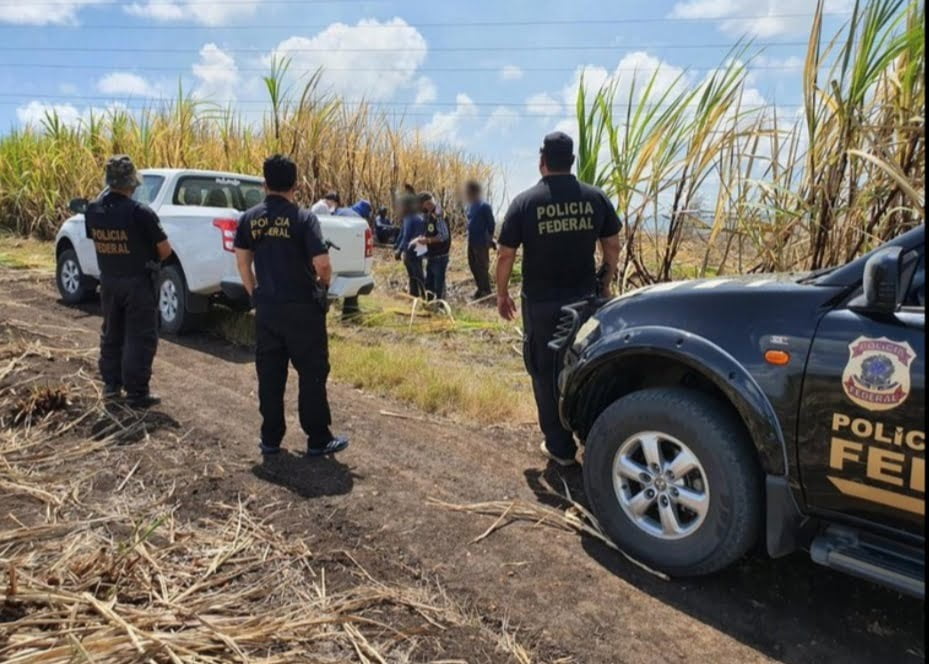 Maranhenses e piauienses são resgatados de trabalho escravo pela Polícia Federal em Sergipe