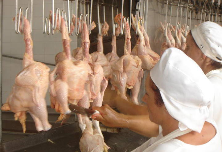 Prefeitura de São Luís vai proibir abates de animais em feiras e mercados