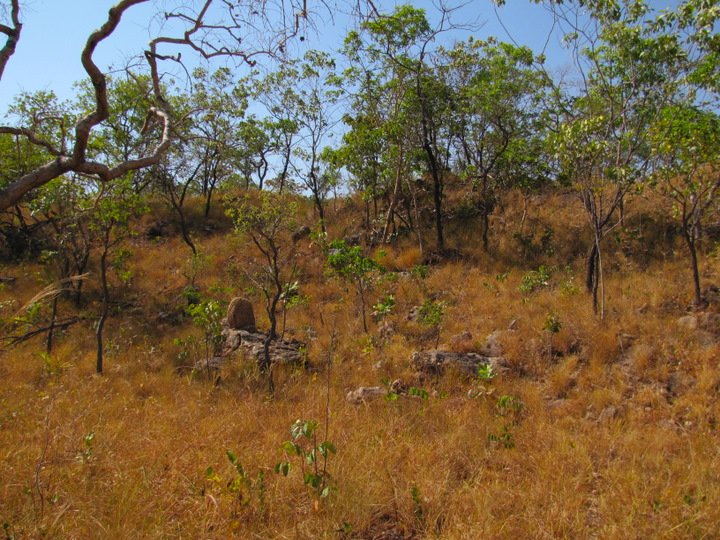 Assembleia Legislativa aprova projeto que institui Zoneamento Ecológico-Econômico do Maranhão