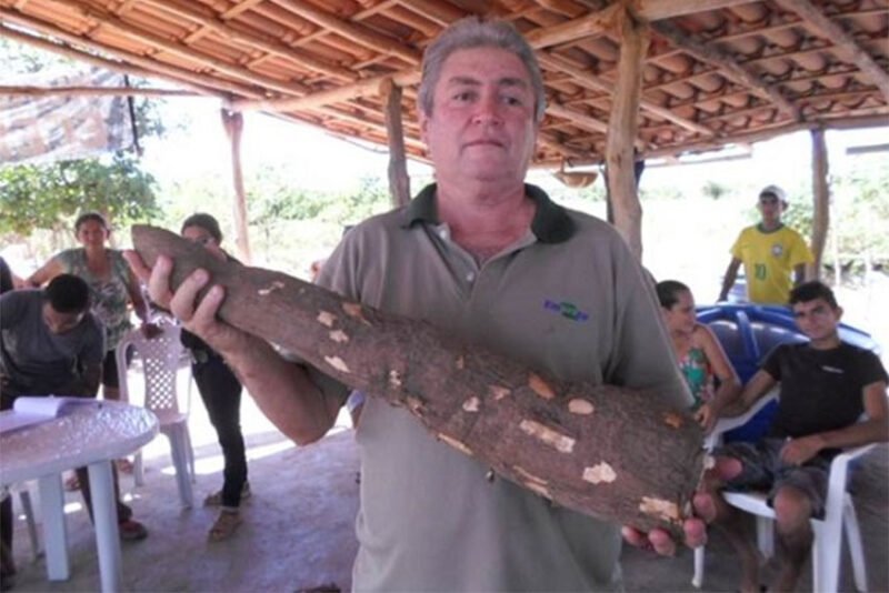 Curso ensina boas práticas de fabricação de farinha de mandioca a produtores do Maracanã em São Luís