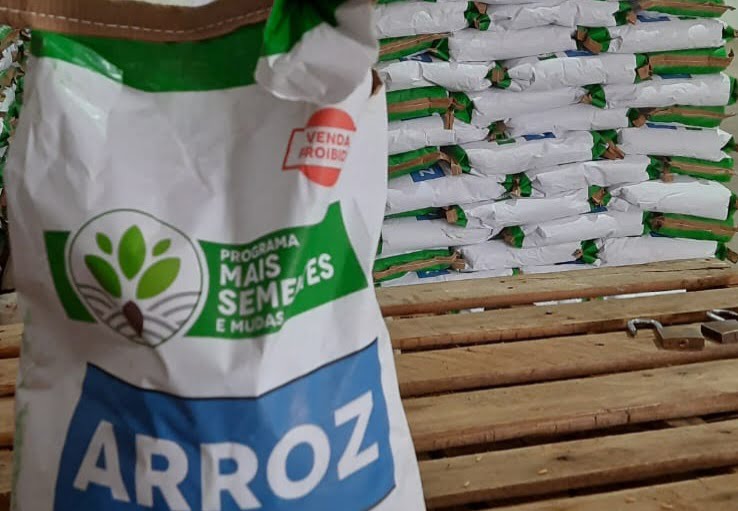 Governo do Maranhão abre oficialmente na próxima segunda-feira o Ano Agrícola 2022/2023