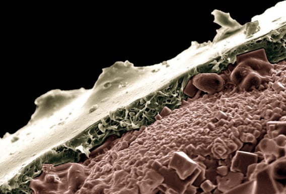 Cientistas propõem tecnologia feita com isopor para liberação controlada de fertilizantes na agricultura