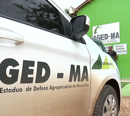 Governo assina ordens de serviço para melhorar prestação de serviços da Aged