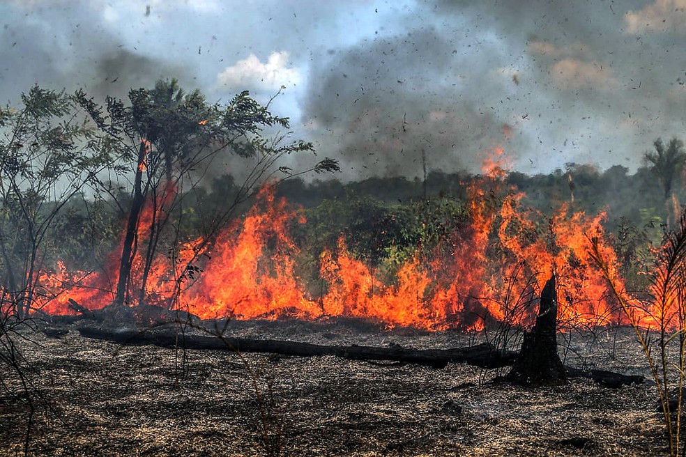 Até novembro está proibido no Maranhão uso de fogo em limpeza de áreas para agricultura