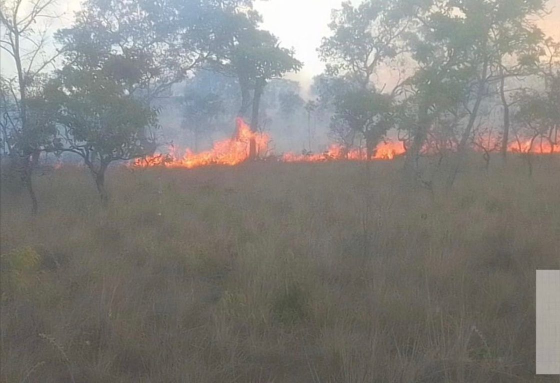 Superintendente do Ibama pede Força Nacional para combater incêndios no Parque do Mirador