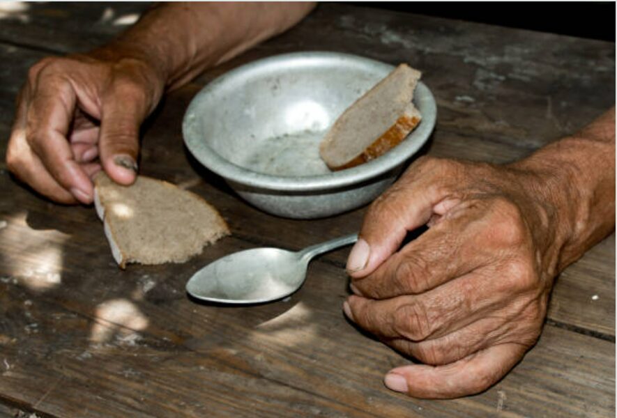 Fome e insegurança alimentar no Brasil: O que podemos fazer?