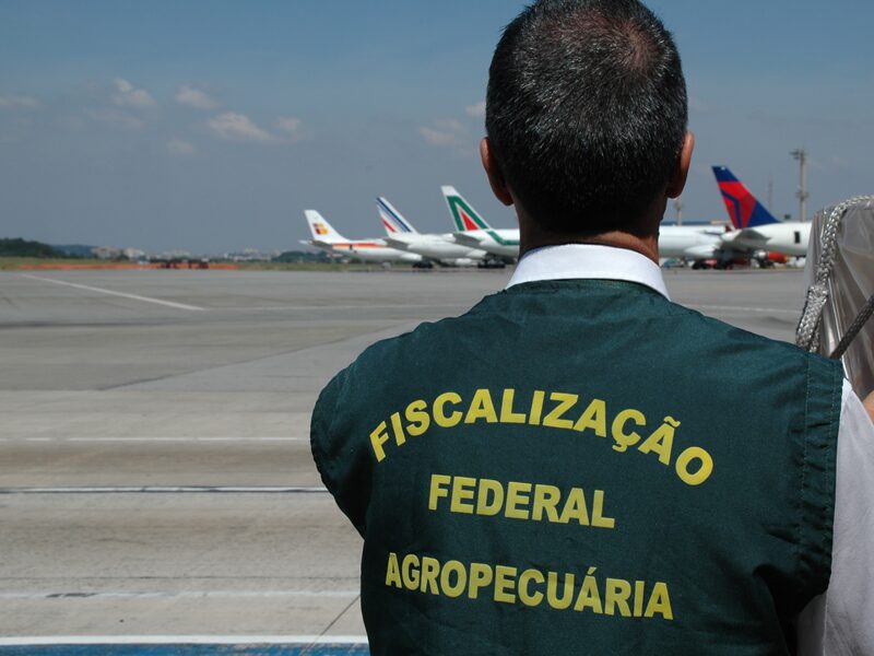 Auditores agropecuários pressionam governo federal por reestruturação da carreira