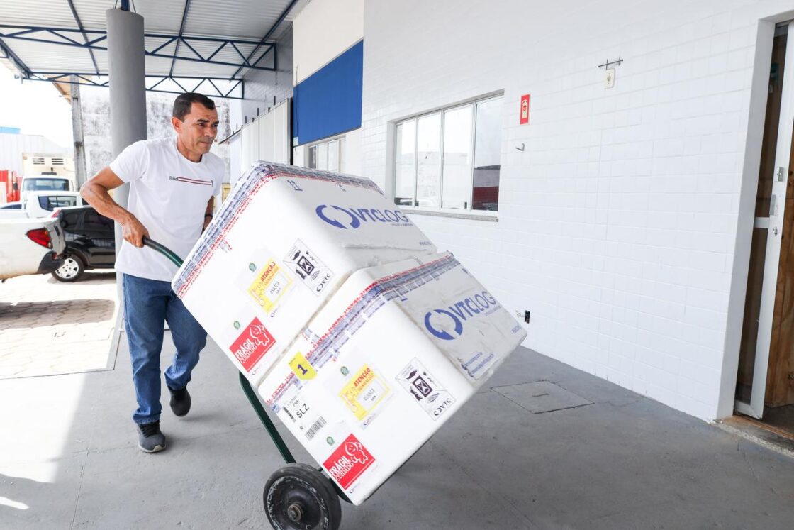 Maranhão recebe primeiro lote da vacina para imunização contra a dengue