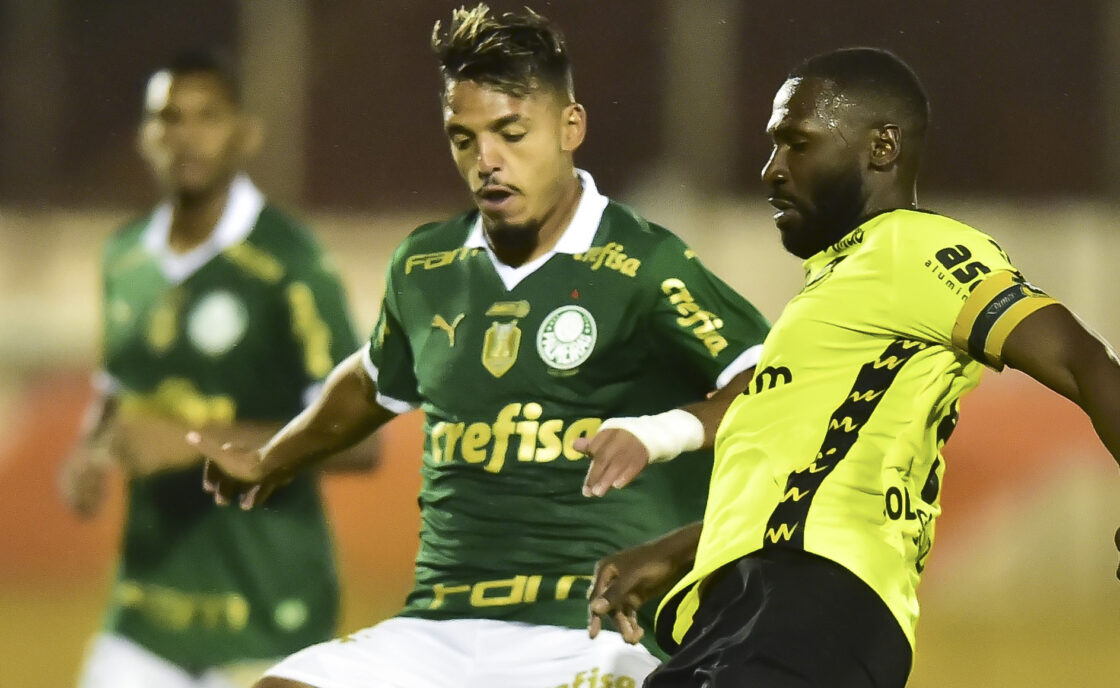 Palmeiras vence São Bernardo com gol no fim e mantém invencibilidade