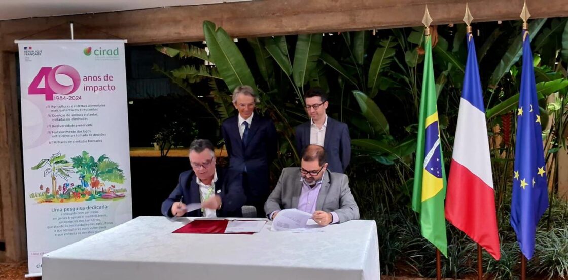 Suzano e Cirad firmam parceria em prol do desenvolvimento sustentável