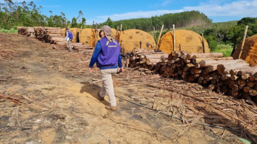 Empresários do setor de carvoaria debatem boas práticas trabalhistas e sustentabilidade