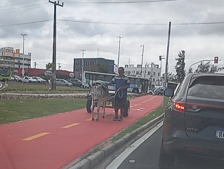 Ciclovia da Avenida Castelo é utilizada por outros tipos de veículos e não apenas ciclistas