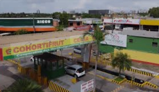 Cooperativa que administra Ceasa condenada por dano ambiental