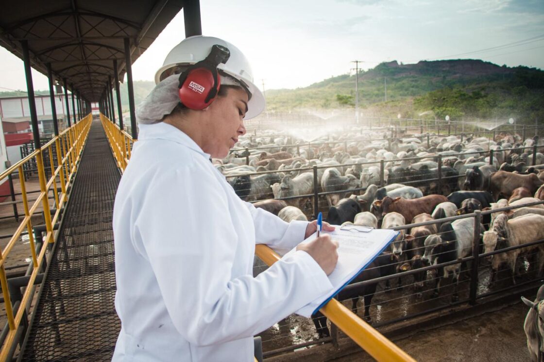 Fribal é finalista do Prêmio “Empresa do Ano – Ciclo 2024” da Associação Comercial do Maranhão