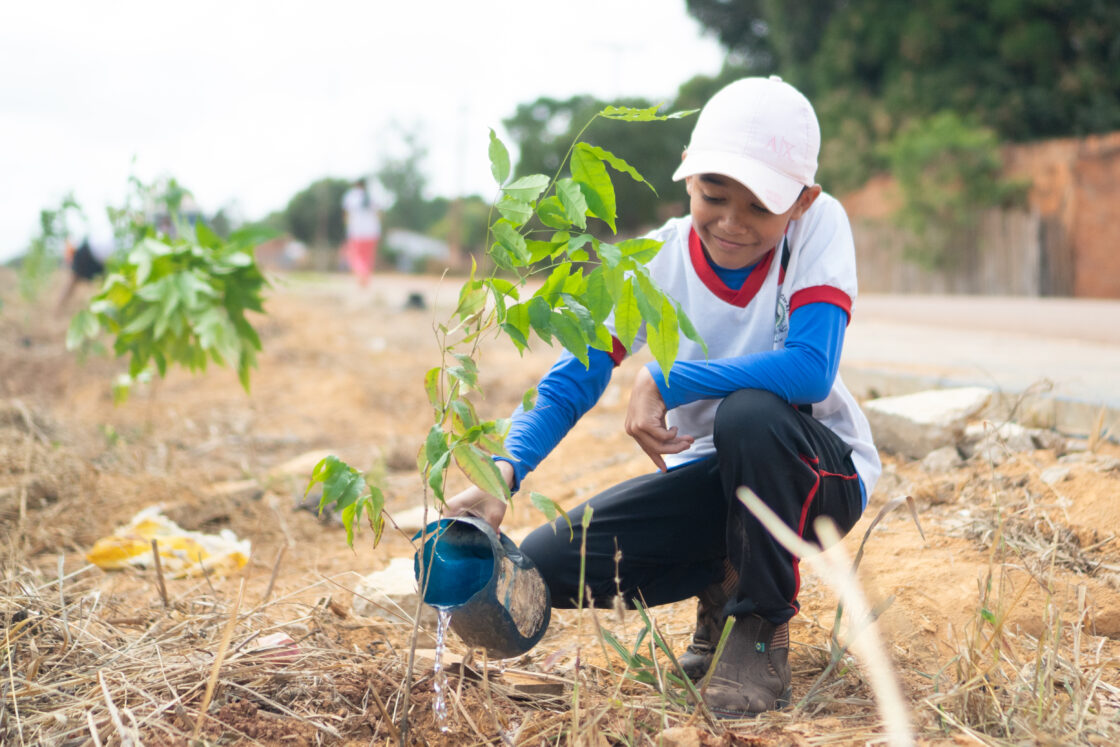 Suzano promove plantio de 700 mudas nativas no município de Açailândia