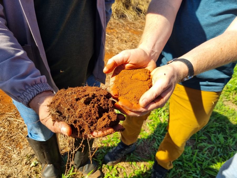 Maranhão celebra o Dia Mundial do Solo com foco na agricultura sustentável