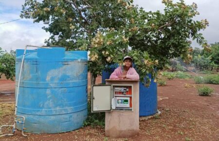 AGRICULTURA Microcrédito impulsiona autonomia financeira de mulheres no campo