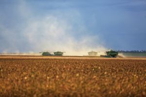 AGRONEGÓCIO Safra de soja 2025/26 deve alcançar novo recorde no Brasil