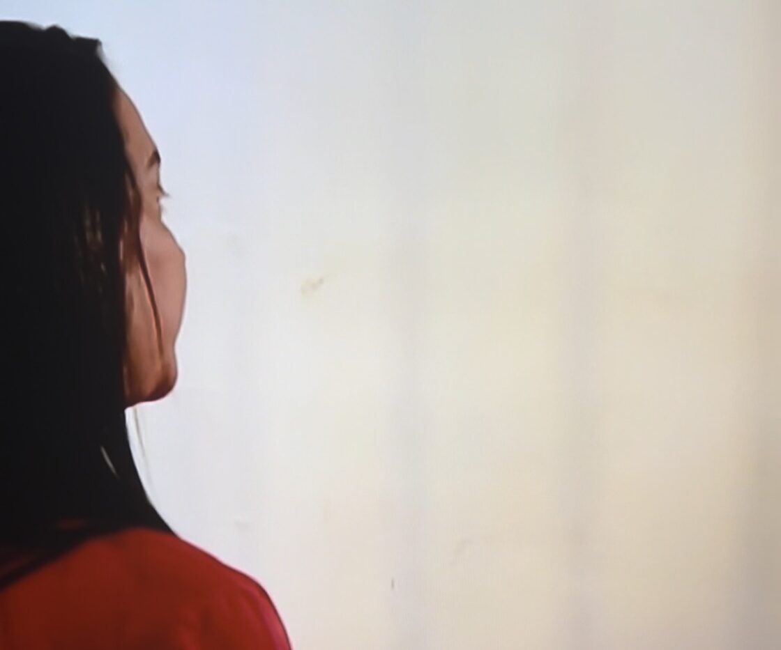 ENTREVISTA À RECORD Acusada de agredir empregada Carolina Sthela Ferreira diz como se deve tratar uma doméstica