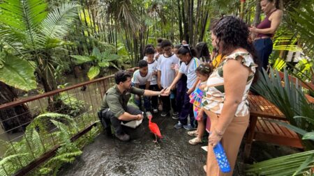 EDUCAÇÃO AMBIENTAL Estudantes vivem aula ao ar livre e descobrem a natureza na Reserva do Congo, em São Luís