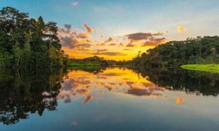 PROSPERA AMAZÔNIA Maranhão pode ter até 36 municípios atendidos pelo BNDES por ação do Fundo Amazônia para negócios da floresta