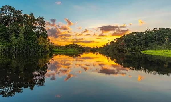 PROSPERA AMAZÔNIA Maranhão pode ter até 36 municípios atendidos pelo BNDES por ação do Fundo Amazônia para negócios da floresta