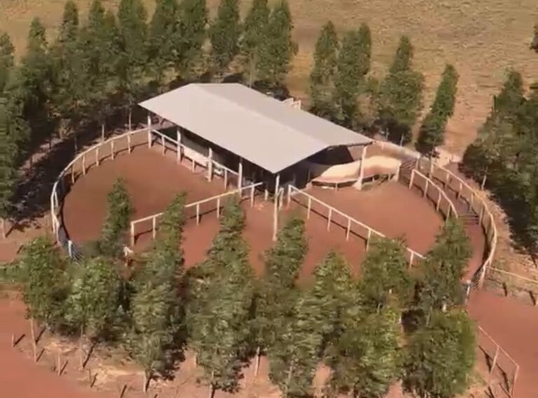 MODERNIZAÇÃO NO CAMPO Fazenda Campo Novo investe em pecuária sustentável no Maranhão com moderno modelo irrigação